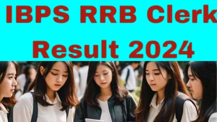 IBPS RRB Clerk Preliminary Results 2024 has been pushed out at ibps.in. What comes next?