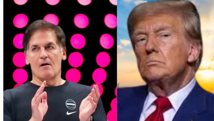 Mark Cuban called Donald Trump the'most untrustworthy' person he has ever worked with