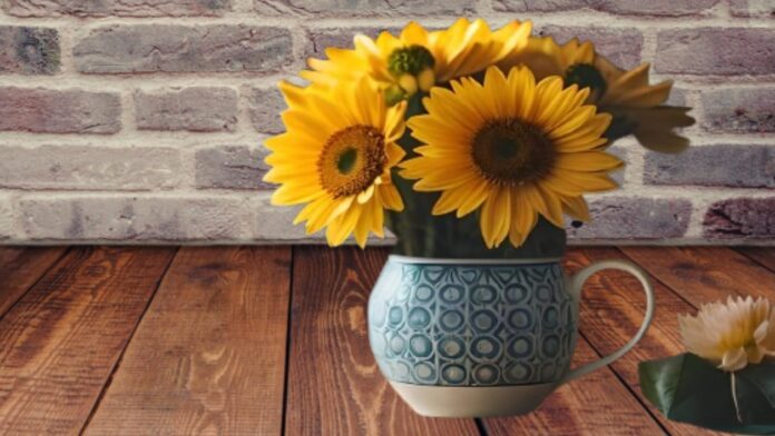 Sunflower Seeds: How to Plants, Progress, and Caring for Sunflowers | Sunflower Seeds Advantages