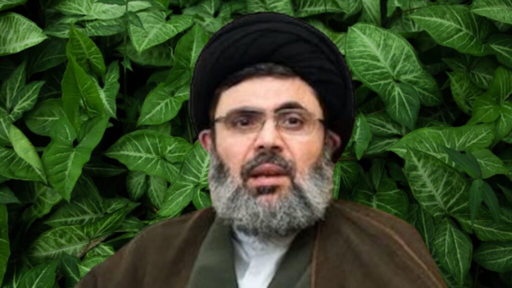 Hashem Safieddine : According to reports, an Israeli airstrike in Beirut killed Hashem Safieddine, Hassan Nasrallah's probable successor